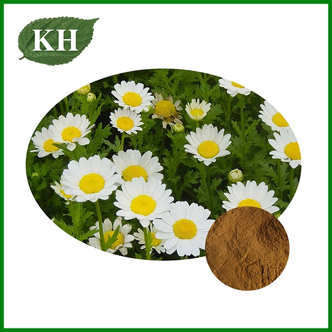 Feverfew Extract
